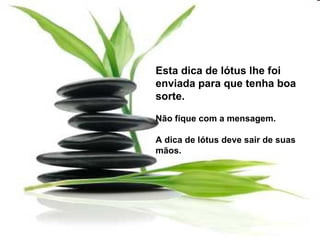 Esta dica de lótus lhe foi  enviada para que tenha boa sorte. Não fique com a mensagem. A dica de lótus deve sair de suas mãos.  