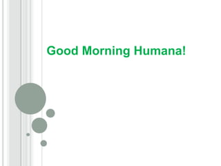 Good Morning Humana!
1
 