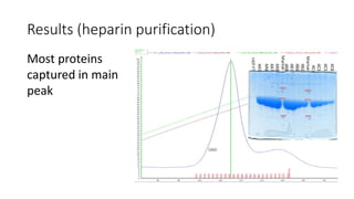 Results (heparin purification)
Most proteins
captured in main
peak
 