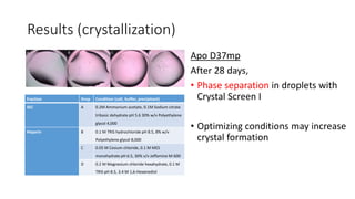 Results (crystallization)
Apo D37mp
After 28 days,
• Phase separation in droplets with
Crystal Screen I
• Optimizing conditions may increase
crystal formation
Fraction Drop Condition (salt, buffer, precipitant)
SEC A 0.2M Ammonium acetate, 0.1M Sodium citrate
tribasic dehydrate pH 5.6 30% w/v Polyethylene
glycol 4,000
Heparin B 0.1 M TRIS hydrochloride pH 8.5, 8% w/v
Polyethylene glycol 8,000
C 0.05 M Cesium chloride, 0.1 M MES
monohydrate pH 6.5, 30% v/v Jeffamine M-600
D 0.2 M Magnesium chloride hexahydrate, 0.1 M
TRIS pH 8.5, 3.4 M 1,6-Hexanediol
 