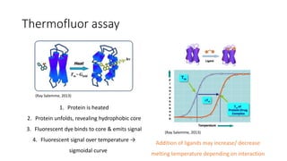Thermofluor assay
1. Protein is heated
2. Protein unfolds, revealing hydrophobic core
3. Fluorescent dye binds to core & emits signal
4. Fluorescent signal over temperature →
sigmoidal curve
Addition of ligands may increase/ decrease
melting temperature depending on interaction
(Ray Salemme, 2013)
(Ray Salemme, 2013)
 