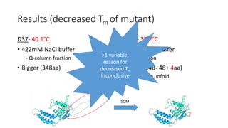 Results (decreased Tm of mutant)
D37- 40.1°C
• 422mM NaCl buffer
- Q-column fraction
• Bigger (348aa)
D37mp- 37.2°C
• 300mM NaCl buffer
- SEC fraction
• Smaller (348- 48+ 4aa)
• ↓ heat to unfold
SDM
>1 variable,
reason for
decreased Tm
inconclusive
 