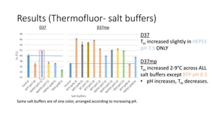 Results (Thermofluor- salt buffers)
D37
Tm increased slightly in HEPES
pH 7.5 ONLY
D37mp
Tm increased 2-9°C across ALL
salt buffers except BTP pH 8.5
• pH increases, Tm decreases.
Same salt buffers are of one color, arranged according to increasing pH.
D37 D37mp
 