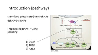 Introduction (pathway)
stem-loop precursors→ microRNAs
dsRNA→ siRNAs
Fragmented RNAs→ Gene
silencing
(Yale, 2015)
1) Dicer
2) TRBP
3) Ago2
 