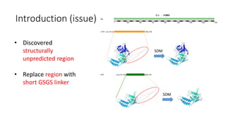 Introduction (issue)
• Discovered
structurally
unpredicted region
• Replace region with
short GSGS linker
SDM
SDM
 