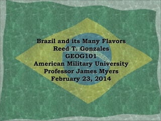 Brazil and its Many Flavors
Reed T. Gonzales
GEOG101
American Military University
Professor James Myers
February 23, 2014
 