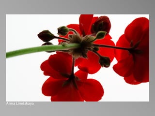 PHOT 85A - Beginning Studio Lighting