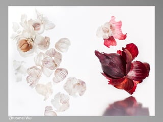 PHOT 85A - Beginning Studio Lighting