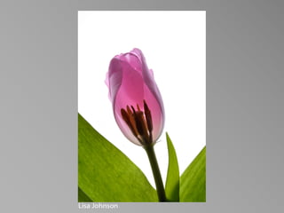 PHOT 85A - Beginning Studio Lighting