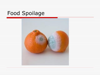 FOODMICROBIOLOGY | PDF