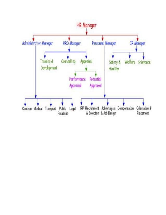 HR Tree.Doc1