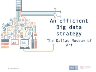 An efficient
Big data
strategy
The Dallas Museum of
Art
RAMPINI Marion
 