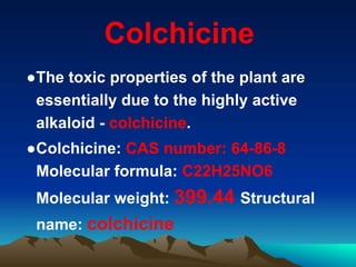 Colchicine
●The toxic properties of the plant are
essentially due to the highly active
alkaloid - colchicine.
●Colchicine: CAS number: 64-86-8
Molecular formula: C22H25NO6
Molecular weight: 399.44 Structural
name: colchicine
 