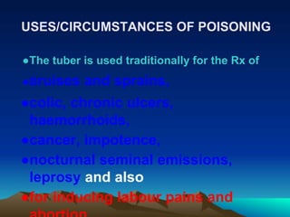 USES/CIRCUMSTANCES OF POISONING
●The tuber is used traditionally for the Rx of
●Bruises and sprains,
●colic, chronic ulcers,
haemorrhoids,
●cancer, impotence,
●nocturnal seminal emissions,
leprosy and also
●for inducing labour pains and
 