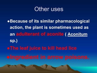 Other uses
●Because of its similar pharmacological
action, the plant is sometimes used as
an adulterant of aconite ( Aconitum
sp.)
●The leaf juice to kill head lice
●Ingredient in arrow poisons.
 