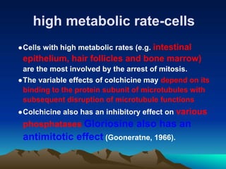high metabolic rate-cells
●Cells with high metabolic rates (e.g. intestinal
epithelium, hair follicles and bone marrow)
are the most involved by the arrest of mitosis.
●The variable effects of colchicine may depend on its
binding to the protein subunit of microtubules with
subsequent disruption of microtubule functions
●Colchicine also has an inhibitory effect on various
phosphatases Gloriosine also has an
antimitotic effect (Gooneratne, 1966).
 