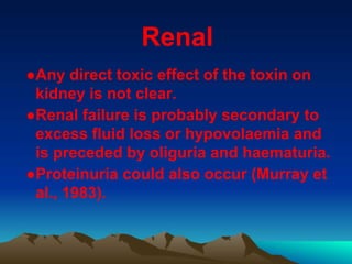 Renal
●Any direct toxic effect of the toxin on
kidney is not clear.
●Renal failure is probably secondary to
excess fluid loss or hypovolaemia and
is preceded by oliguria and haematuria.
●Proteinuria could also occur (Murray et
al., 1983).
 