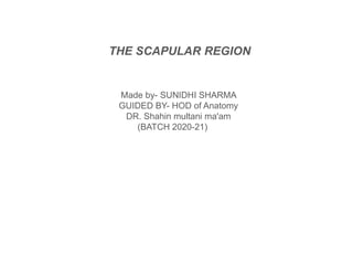 THE SCAPULAR REGION
Made by- SUNIDHI SHARMA
GUIDED BY- HOD of Anatomy
DR. Shahin multani ma'am
(BATCH 2020-21)
 