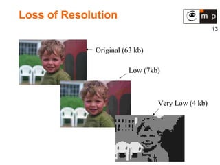 Loss of Resolution Original (63 kb) Low (7kb) Very Low (4 kb) 