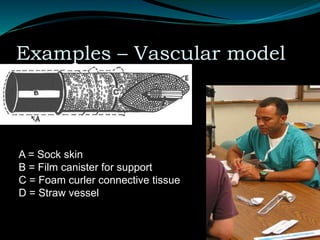 Examples – Vascular model
A = Sock skin
B = Film canister for support
C = Foam curler connective tissue
D = Straw vessel
 