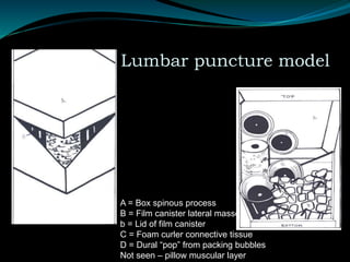 Examples – Lumbar puncture model
A = Box spinous process
B = Film canister lateral masses
b = Lid of film canister
C = Foam curler connective tissue
D = Dural “pop” from packing bubbles
Not seen – pillow muscular layer
 
