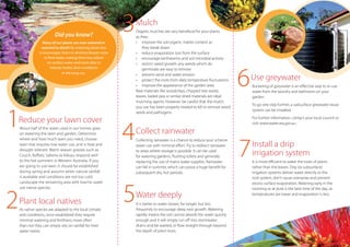 Did you know?
                   Many of our plants are over-watered or
                                                              3   Mulch
                                                                  Organic mulches are very beneficial for your plants
                                                                  as they:
                                                                  •	 improve the soil organic matter content as
                  watered to death! By watering plants less           they break down
                it encourages them to develop deeper roots        •	 reduce evaporation loss from the surface
                    to find water, making them less reliant       •	 encourage earthworms and soil microbial activity
                      on surface water and more able to           •	 restrict weed growth; any weeds which do




                                                                                                                             6
                        tolerate hotter, drier conditions             germinate are easy to remove
                                in the long run.                  •	 prevent wind and water erosion
                                                                  •	 protect the roots from daily temperature fluctuations       Use greywater
                                                                  •	 improve the appearance of the garden area.                  Bucketing of greywater is an effective way to re-use
                                                                  Raw materials like woodchips, chipped tree waste,              water from the laundry and bathroom on your
                                                                  leaves, bailed pea or similar dried materials are ideal        garden.
                                                                  mulching agents. However, be careful that the mulch
                                                                                                                                 To go one step further, a subsurface greywater reuse




1
                                                                  you use has been properly treated to kill or remove weed
                                                                                                                                 system can be installed.
                                                                  seeds and pathogens.

    Reduce your lawn cover                                                                                                       For further information, contact your local council or



                                                              4
                                                                                                                                 visit www.water.wa.gov.au
    About half of the water used in our homes goes
    on watering the lawn and garden. Determine                    Collect rainwater

                                                                                                                             7
    where and how much lawn you need, choose                      Collecting rainwater is a chance to reduce your scheme
    lawn that requires low water use, and is heat and             water use with minimal effort. Try to redirect rainwater       Install a drip
    drought tolerant. Warm season grasses such as
    Couch, Buffalo, Saltene or Kikuyu respond well
                                                                  to areas where storage is possible. It can be used
                                                                  for watering gardens, flushing toilets and generally
                                                                                                                                 irrigation system
    to the hot summers in Western Australia. If you               replacing the use of mains water supplies. Rainwater           It is more efficient to water the roots of plants
    are going to use lawn, it should be established               can fall in summer, which can prove a huge benefit for         rather than the leaves. Drip (or subsurface)
    during spring and autumn when natural rainfall                subsequent dry, hot periods.                                   irrigation systems deliver water directly to the
    is available and conditions are not too cold.                                                                                root system, don’t cause overspray and prevent




                                                              5
    Landscape the remaining area with low/no water                                                                               excess surface evaporation. Watering early in the




2
    use native species.                                                                                                          morning or at dusk is the best time of the day, as
                                                                  Water deeply                                                   temperatures are lower and evaporation is less.

    Plant local natives                                           It is better to water slower, for longer, but less
    As native species are adapted to the local climate            frequently to encourage deep root growth. Watering
    and conditions, once established they require                 rapidly means the soil cannot absorb the water quickly
    minimal watering and fertilisers; more often                  enough and it will simply run off into stormwater
    than not they can simply rely on rainfall for their           drains and be wasted, or flow straight through beyond
    water needs.                                                  the depth of plant roots.
 