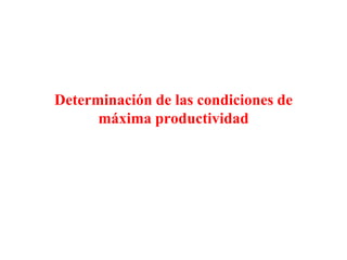 Determinación de las condiciones de
máxima productividad
 