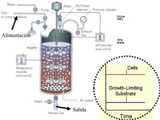 Fig. 1 Típico Fermentador
Alimentación
Salida
 