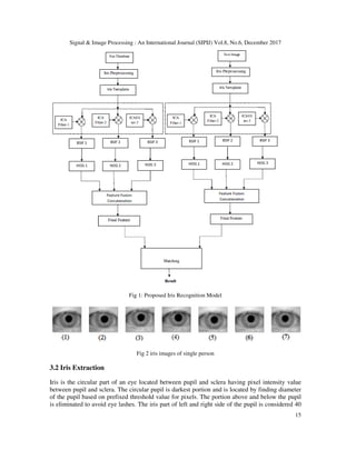 Multi Scale ICA Based IRIS Recognition Using BSIF and HOG | PDF