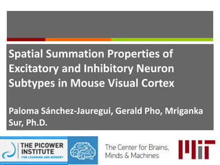 Spatial Summation Properties of
Excitatory and Inhibitory Neuron
Subtypes in Mouse Visual Cortex
Paloma Sánchez-Jauregui, Gerald Pho, Mriganka
Sur, Ph.D.
 