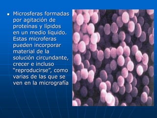  Microsferas formadas
por agitación de
proteínas y lípidos
en un medio líquido.
Estas microferas
pueden incorporar
material de la
solución circundante,
crecer e incluso
“reproducirse”, como
varias de las que se
ven en la micrografía
 