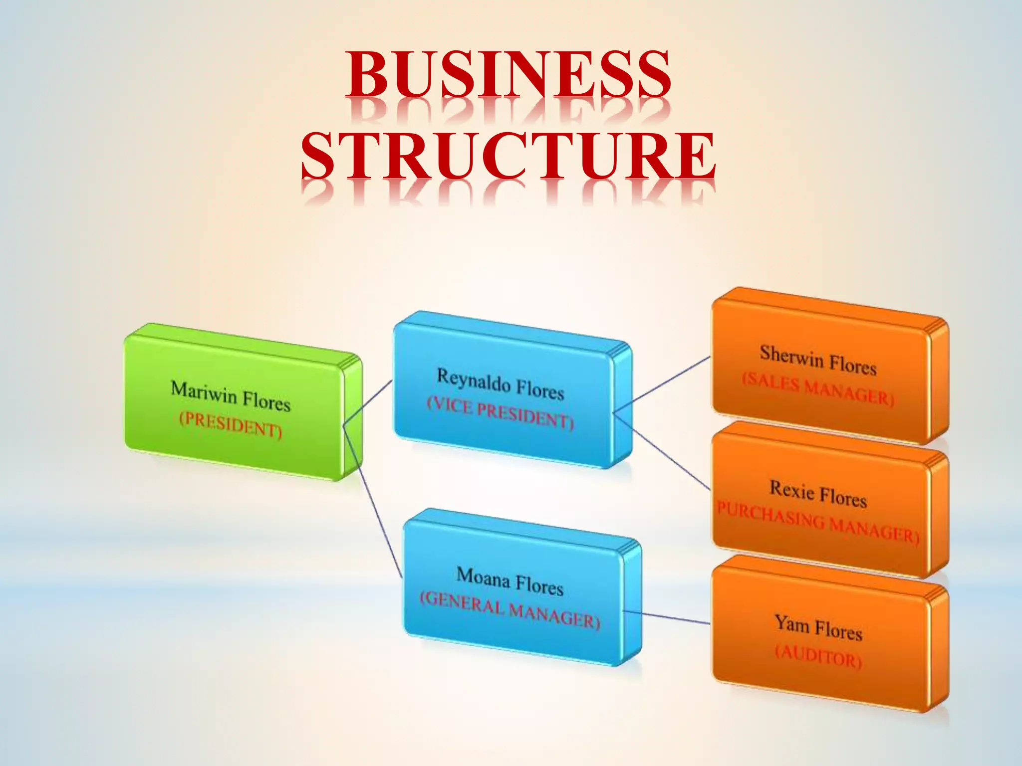 BUSINESS
STRUCTURE
 
