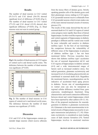 35
IRANIAN JOURNAL OF PATHOLOGYVol.9 No.1, Winter 2014
Khadijeh Foghi, et al.
Results
The number of dead neurons in CA3 ventral
(91.5±17) and CA3 dorsal (36±19) showed
significant level of difference (P<0.05) (Fig.1).
The number of dead neurons in CA1 ventral
(77±33) and CA1 dorsal (12±9) showed also
significant difference (P<0.05) (Fig. 2). Dead
neurons were not seen in control group.
Fig.1: the number of dead neurons in CA3 region
of ventral (ca3v) and dorsal (ca3d) zones. The
deference between the number of dead neurons
was significant. (P<0.05)
Fig. 2: The number of dead neurons in CA1
region of ventral (ca1v) and dorsal (ca1d) zones.
The deference between the number of dead
neurons was significant. (P<0.05)
Discussion
CA1 and CA3 of the hippocampus contain py-
ramidal shape neurons which receive afferents
from the mossy fibers of dentate gyrus. Strictly
speaking granular cells of the dentate gyrus send
their glutamergic mossy endings to CA3 region.
CA1 pyramidal neurons receive collateralls from
CA3 pyramidal neurons which in turn makes one
of the main internal neuronal circuits of memory
process (15).
The results of this study showed that the rate of
neuronal death in CA1 and CA3 region of ventral
zones progress more rapidly than those of dorsal
hippocampus.Inotherwordtheresponseofdorsal
and ventral segments of hippocampus in diabetic
paradigm is different and the ventral zone would
be more vulnerable and sensitive to diabetes
mellitus type1. To the best of our knowledge
the comparison between the vulnerability of
different zones of the hippocampus in presence
of diabetes mellitus type 1 has not been
mentioned before. Previous researches have
shown that diabetes mellitus type1 accelerates
the rate of neuronal degeneration inCA1 and
CA3 regions of hippocampus in diabetic animals
(6-9) and a wide interconnected ranges of
factors such as increased oxidative stress, free
radical generation, glutamate excitotoxicity and
increased level of circulating glucocorticoids are
contributed in neuronal death (6,8). Regardless
the mentioned factors, neurodegenration can be
indicative of accelerated brain aging process
in diabetes. Severe rate of neurodegenration
in ventral zone can also be interpreted as
regional cellular difference resulted from, gene
expression, morphological, functional, firing
characteristics and neural connection differences
between dorsal and ventral hippocampus which
have been reported by other authors (10-13, 16).
One of the proposed mechanisms for neurode-
genration in diabetes is glutamate exctotoxicity
(6). Glutamate is the main neurotransmitter in in-
ternal circuits of hippocampus necessarily in syn-
aptic transmission and plasticity (17, 18). Gluta-
mate excitotoxity is considered as main leading
cause of dark neurons formation (19). Ventral
hippocampus involves in emotional reactions
 