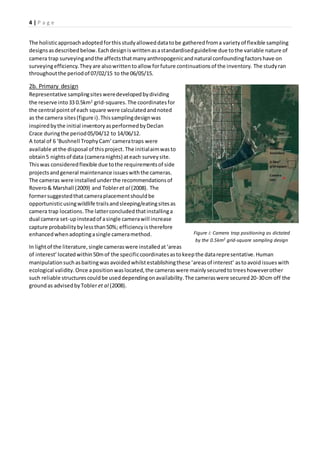 4 | P a g e
The holisticapproachadoptedforthis studyalloweddatatobe gatheredfroma varietyof flexible sampling
designsasdescribedbelow.Eachdesigniswrittenasastandardisedguideline due tothe variable nature of
camera trap surveyingandthe affectsthatmanyanthropogenicandnatural confoundingfactorshave on
surveyingefficiency.Theyare alsowrittentoallow forfuture continuationsof the inventory. The studyran
throughoutthe periodof 07/02/15 to the 06/05/15.
2b. Primary design
Representative samplingsitesweredevelopedbydividing
the reserve into33 0.5km2
grid-squares.The coordinatesfor
the central pointof each square were calculatedandnoted
as the camera sites(figure i). Thissamplingdesignwas
inspiredbythe initial inventoryasperformedbyDeclan
Crace duringthe period05/04/12 to 14/06/12.
A total of 6 ‘Bushnell TrophyCam’cameratraps were
available atthe disposal of thisproject.The initialaimwasto
obtain5 nightsof data (cameranights) ateach surveysite.
Thiswas consideredflexible due tothe requirementsof side
projectsandgeneral maintenance issueswiththe cameras.
The cameras were installed underthe recommendationsof
Rovero& Marshall (2009) and Tobler et al (2008). The
formersuggestedthatcameraplacementshouldbe
opportunisticusingwildlife trailsandsleeping/eatingsitesas
camera trap locations.The latterconcludedthatinstallinga
dual camera set-upinsteadof asingle camerawill increase
capture probabilitybylessthan50%; efficiencyistherefore
enhancedwhenadoptingasingle cameramethod.
In lightof the literature,single cameraswere installedat‘areas
of interest’ locatedwithin50mof the specificcoordinatesastokeepthe datarepresentative.Human
manipulationsuchasbaitingwas avoidedwhilstestablishingthese ’areasof interest’ astoavoidissueswith
ecological validity.Once apositionwaslocated,the cameraswere mainlysecuredtotreeshoweverother
such reliable structurescouldbe useddependingonavailability.The cameraswere secured20-30cm off the
groundas advisedbyTobleret al (2008).
Figure i: Camera trap positioning as dictated
by the 0.5km2 grid-square sampling design
 