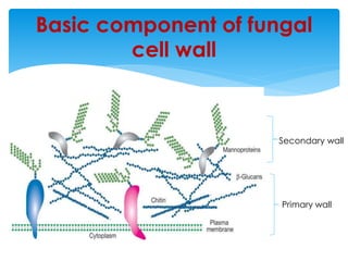 cell wall | PPTX