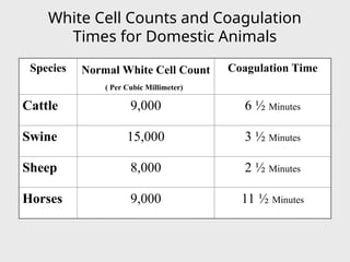 White Cell Counts and Coagulation
Times for Domestic Animals
Species Normal White Cell Count
( Per Cubic Millimeter)
Coagulation Time
Cattle 9,000 6 ½ Minutes
Swine 15,000 3 ½ Minutes
Sheep 8,000 2 ½ Minutes
Horses 9,000 11 ½ Minutes
 
