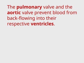 The pulmonary valve and the
aortic valve prevent blood from
back-flowing into their
respective ventricles.
 