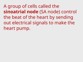 A group of cells called the
sinoatrial node (SA node) control
the beat of the heart by sending
out electrical signals to make the
heart pump.
 