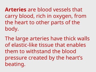 Arteries are blood vessels that
carry blood, rich in oxygen, from
the heart to other parts of the
body.
The large arteries have thick walls
of elastic-like tissue that enables
them to withstand the blood
pressure created by the heart’s
beating.
 