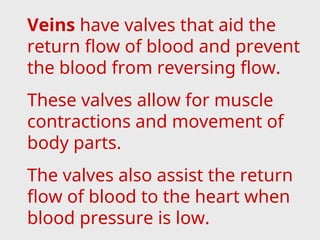 Veins have valves that aid the
return flow of blood and prevent
the blood from reversing flow.
These valves allow for muscle
contractions and movement of
body parts.
The valves also assist the return
flow of blood to the heart when
blood pressure is low.
 