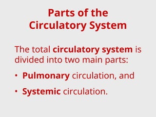 Parts of the
Circulatory System
The total circulatory system is
divided into two main parts:
• Pulmonary circulation, and
• Systemic circulation.
 
