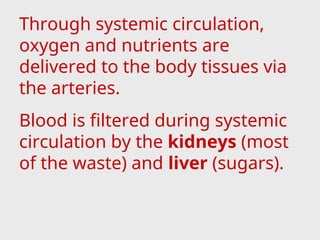 Through systemic circulation,
oxygen and nutrients are
delivered to the body tissues via
the arteries.
Blood is filtered during systemic
circulation by the kidneys (most
of the waste) and liver (sugars).
 