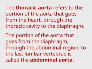 The thoracic aorta refers to the
portion of the aorta that goes
from the heart, through the
thoracic cavity to the diaphragm.
The portion of the aorta that
goes from the diaphragm,
through the abdominal region, to
the last lumbar vertebrae is
called the abdominal aorta.
 