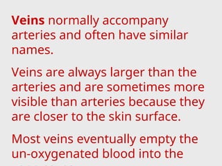 Veins normally accompany
arteries and often have similar
names.
Veins are always larger than the
arteries and are sometimes more
visible than arteries because they
are closer to the skin surface.
Most veins eventually empty the
un-oxygenated blood into the
 