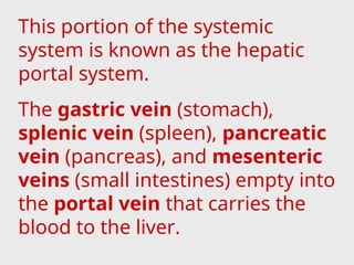 This portion of the systemic
system is known as the hepatic
portal system.
The gastric vein (stomach),
splenic vein (spleen), pancreatic
vein (pancreas), and mesenteric
veins (small intestines) empty into
the portal vein that carries the
blood to the liver.
 