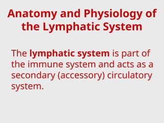 Anatomy and Physiology of
the Lymphatic System
The lymphatic system is part of
the immune system and acts as a
secondary (accessory) circulatory
system.
 