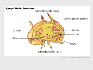 Photo from U. S. Federal Government courtesy of Wikipedia.
 