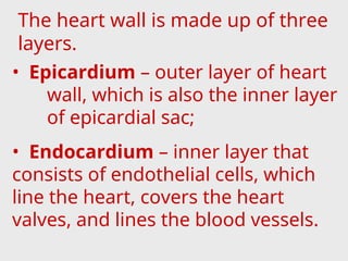 The heart wall is made up of three
layers.
• Epicardium – outer layer of heart
wall, which is also the inner layer
of epicardial sac;
• Endocardium – inner layer that
consists of endothelial cells, which
line the heart, covers the heart
valves, and lines the blood vessels.
 