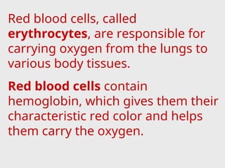 Red blood cells, called
erythrocytes, are responsible for
carrying oxygen from the lungs to
various body tissues.
Red blood cells contain
hemoglobin, which gives them their
characteristic red color and helps
them carry the oxygen.
 