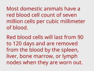Most domestic animals have a
red blood cell count of seven
million cells per cubic millimeter
of blood.
Red blood cells will last from 90
to 120 days and are removed
from the blood by the spleen,
liver, bone marrow, or lymph
nodes when they are worn out.
 